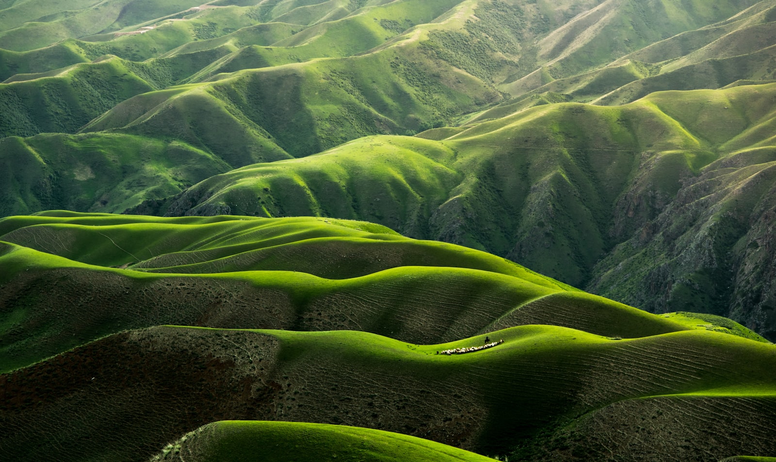 Paisaje rural España